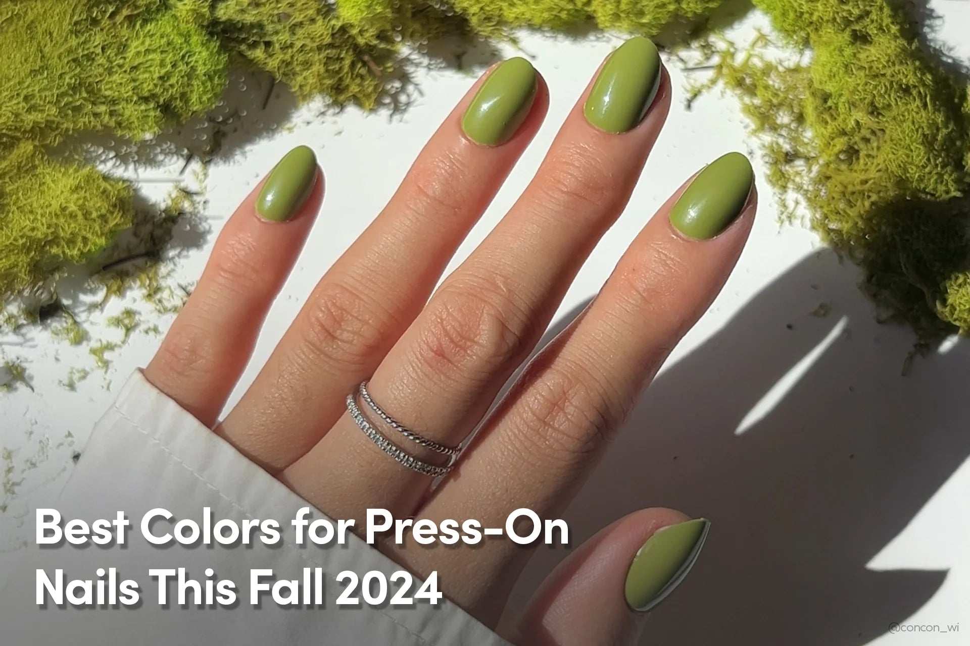 Best Colors for Press-On Nails This Fall 2024
