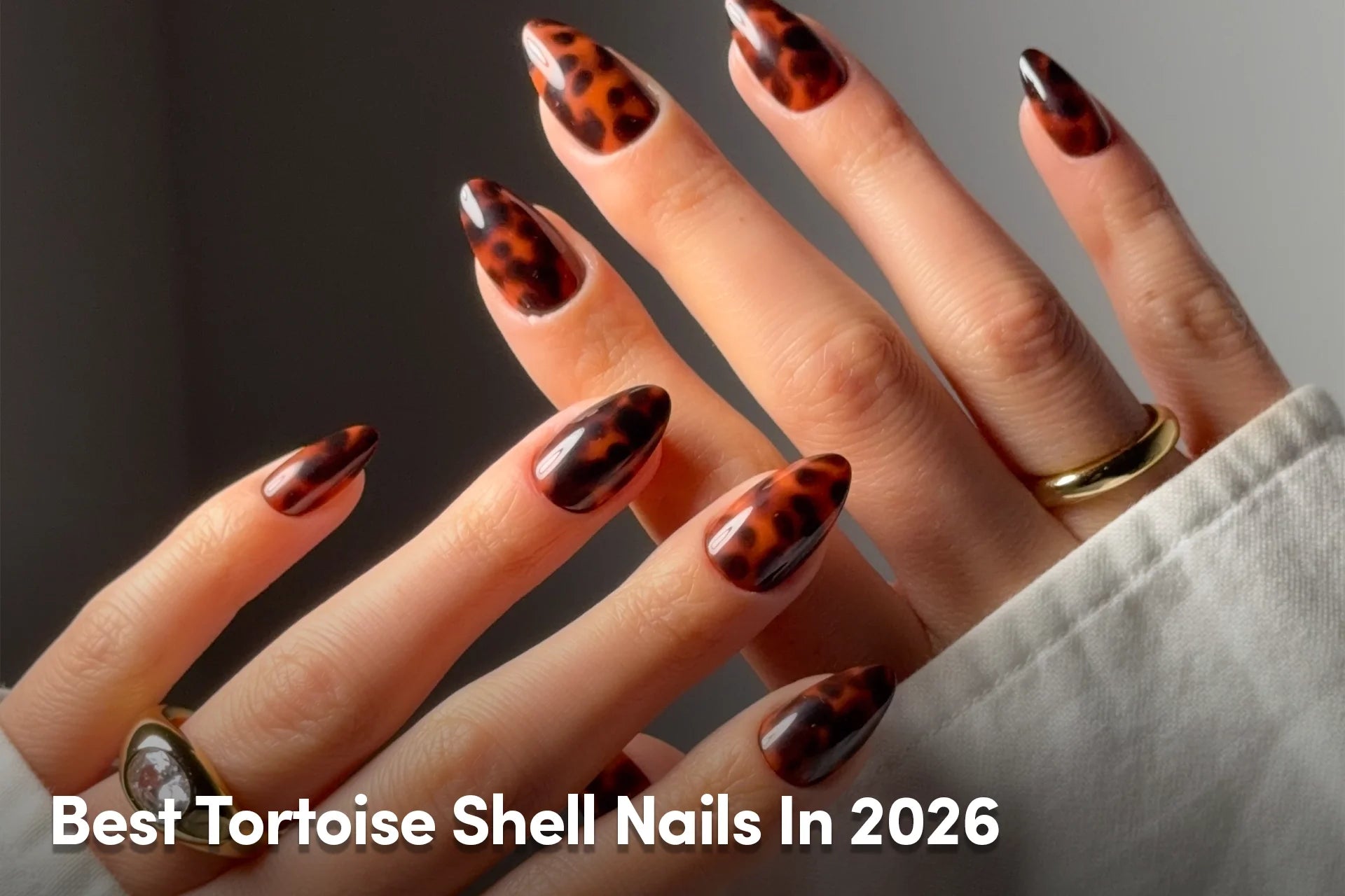 Best Tortoise Shell Nails In 2026 Change Section Type  Text + Image 1