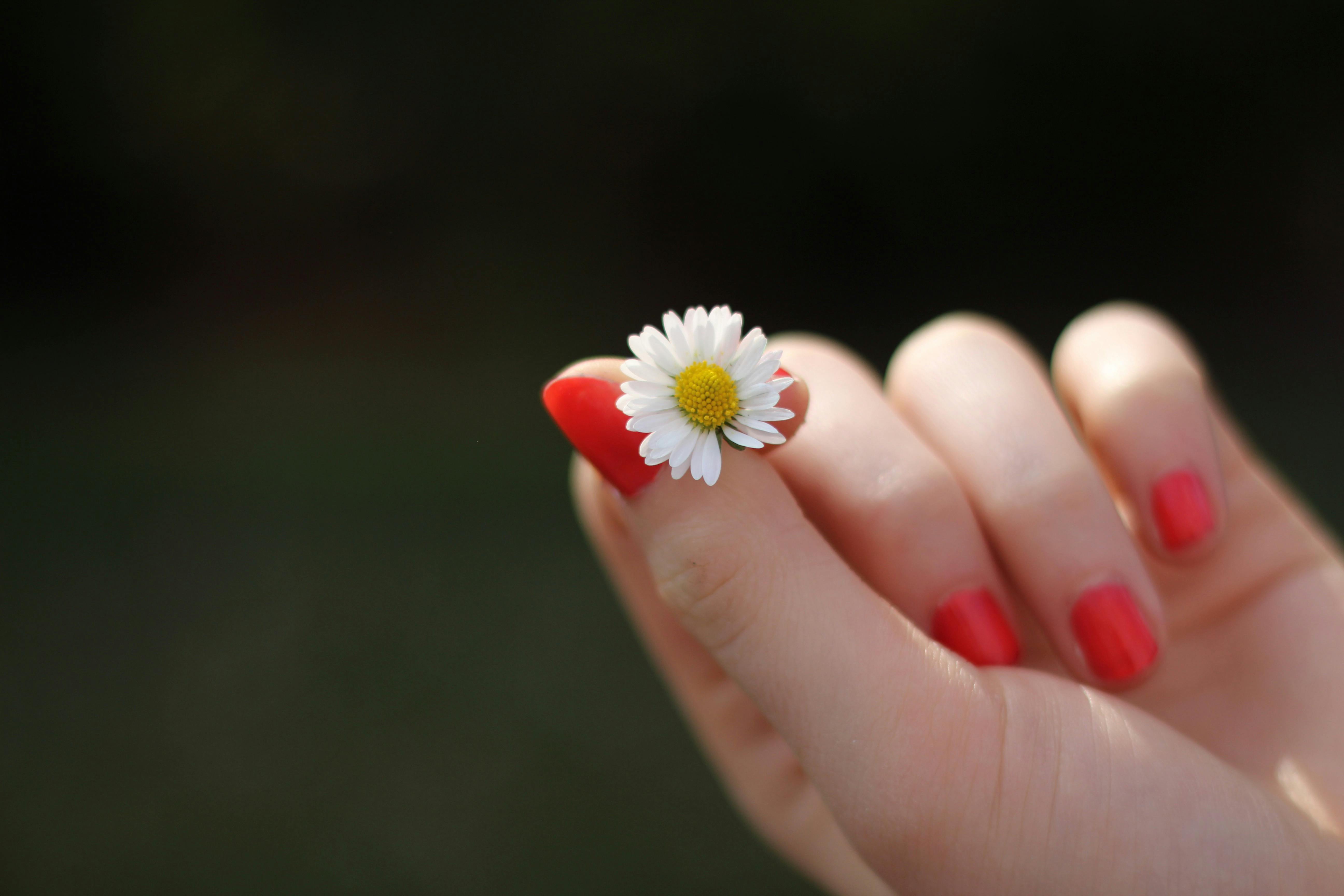 Blooming Beauty: Top Flower Nail Designs for Every Season - Glamnetic
