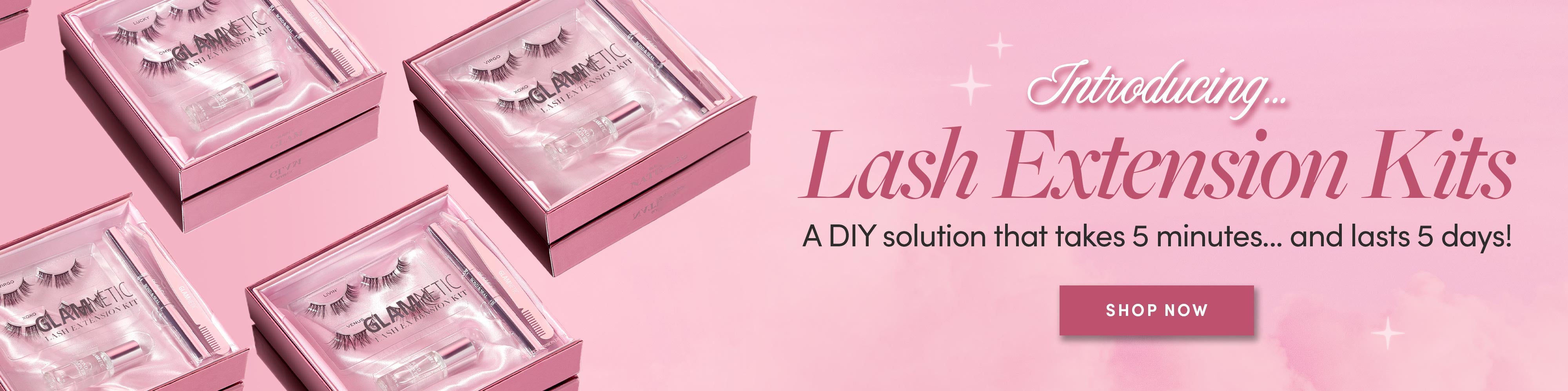 Viral Lash Extension Kit