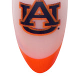 The Auburn Tigers Gameplan