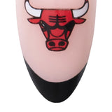 The Chicago Bulls Lineup