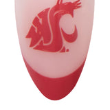 The Washington State Cougars Gameplan