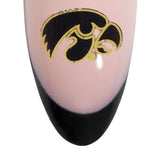The Iowa Hawkeyes Gameplan