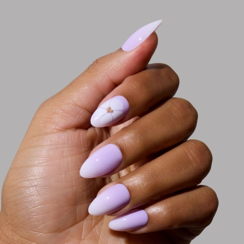 Lilac Reef - Video preview